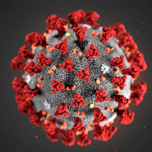 COVID-19 Virus